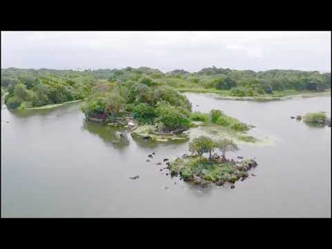 Zopango Orchids Island, Nicaragua, Central America