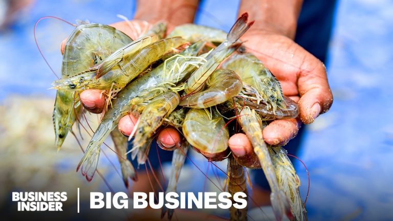 How India Took Over America’s Shrimp Supply | Big Business | Business Insider